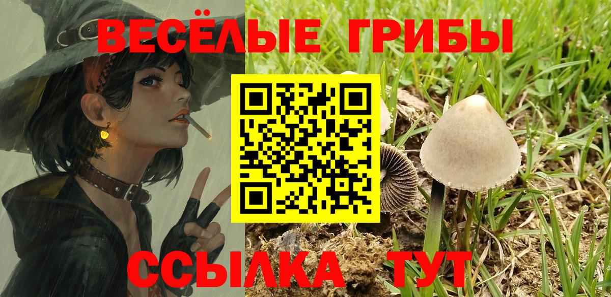 Лесной  Галлюциногенные грибы MAGIC MUSHROOMS  Вход с VPN  Псилоцибиновые грибы прущие грибы 
