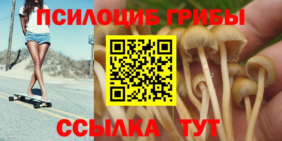 Галлюциногенные грибы GOLDEN TEACHER Лесной